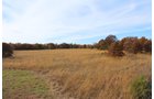 Tract 11 - OKLAHOMA LAND & REAL ESTATE AUCTION, 438 +/- Acres offered in 13 Tracts